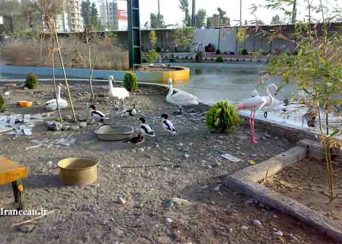 باغ پرندگان فریدون کنار