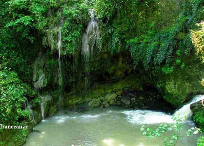 جنگل و آبشار پلنگ دره
