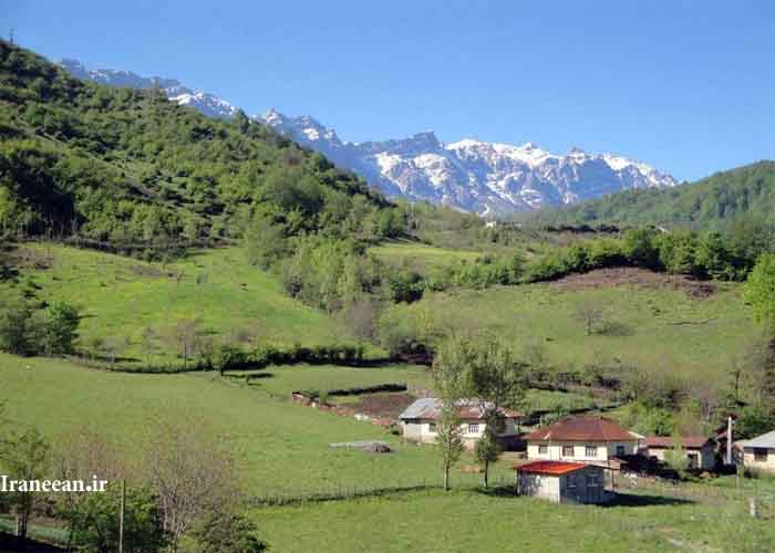 روستای پاچی